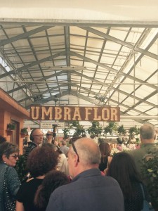 Umbraflor, inaugurato il più grande vivaio dell’Umbria